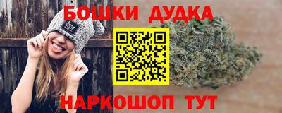 прущие крисы Можга