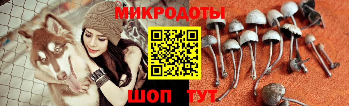 Галлюциногенные грибы Cubensis  Псилоцибиновые грибы Cubensis  Соль-Илецк  Вход с VPN 